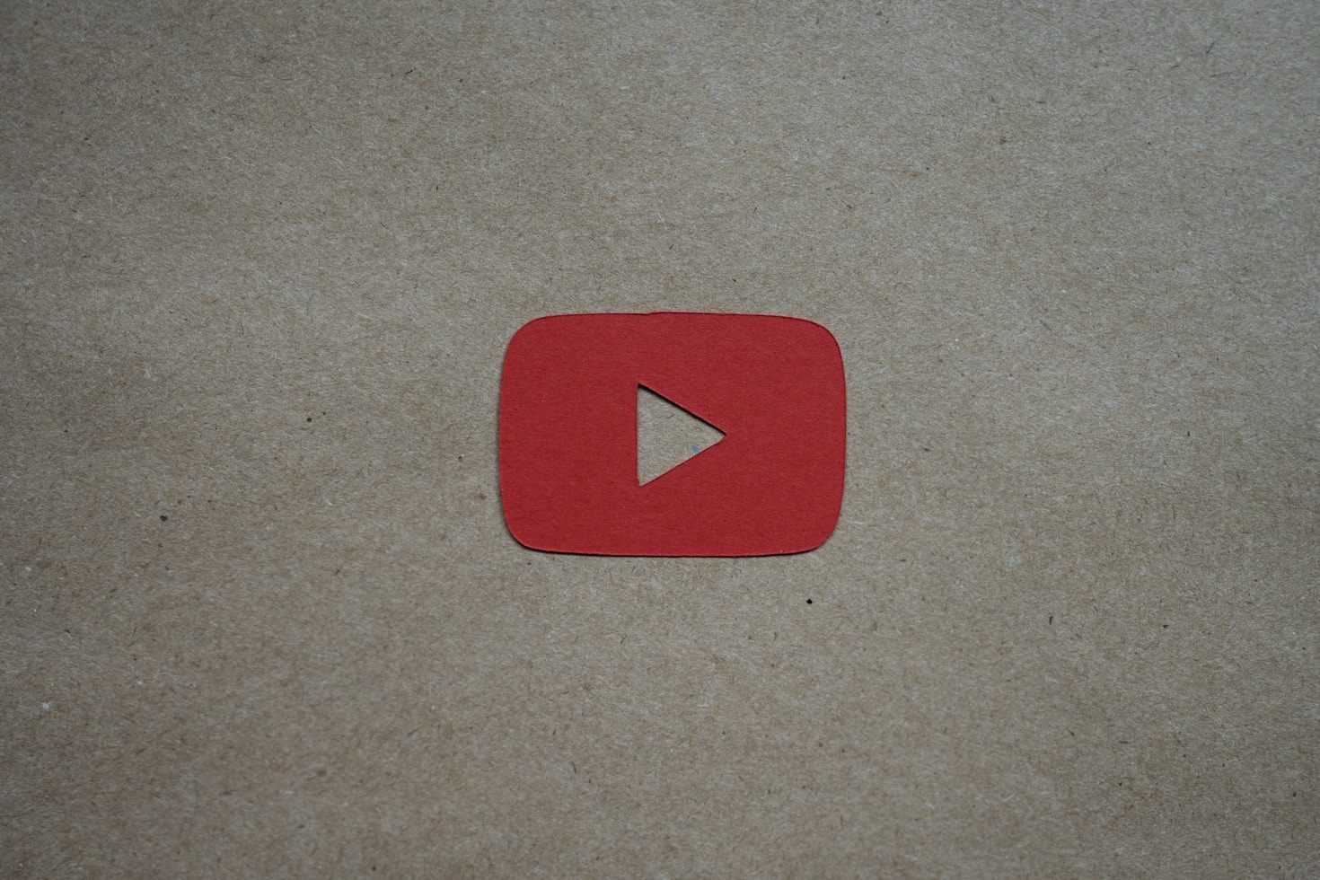 Top 5 Must-Watch Videos by Cecilia